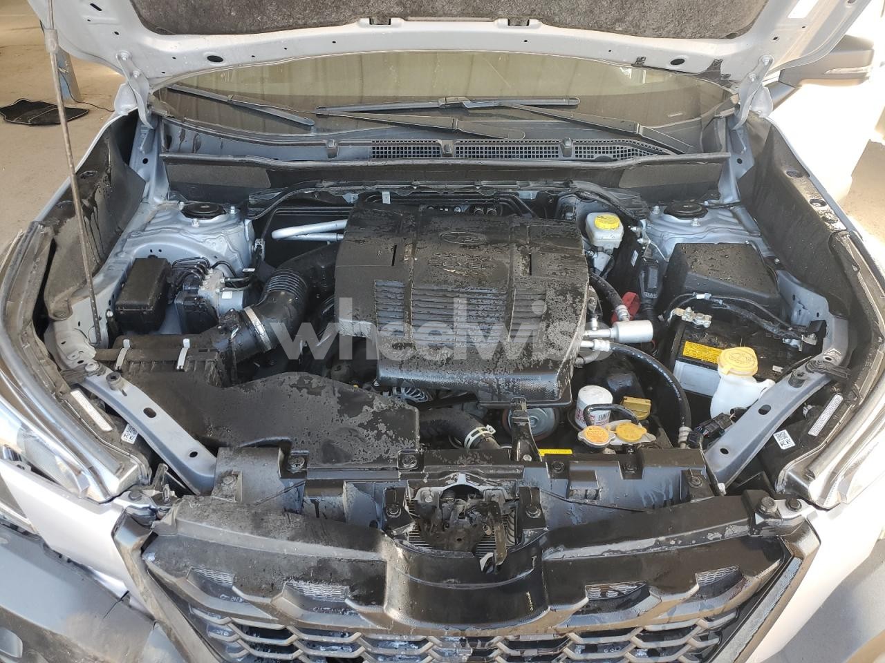 Photo 12 of 2024 SUBARU FORESTER WILDERNESS (VIN JF2SKAJC1RH499439)