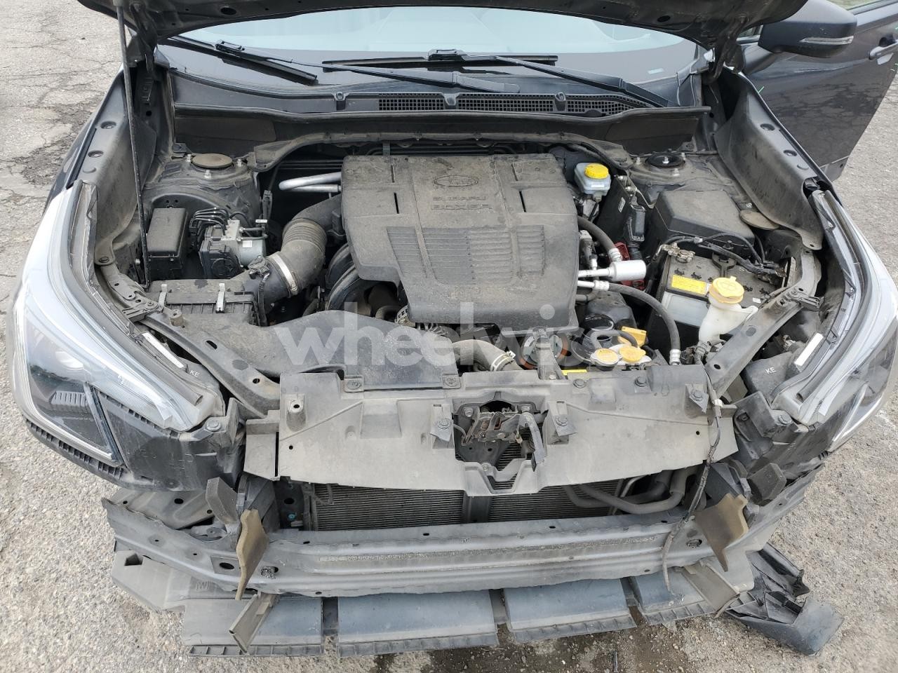 Photo 12 of 2022 SUBARU FORESTER WILDERNESS (VIN JF2SKAMC1NH416243)