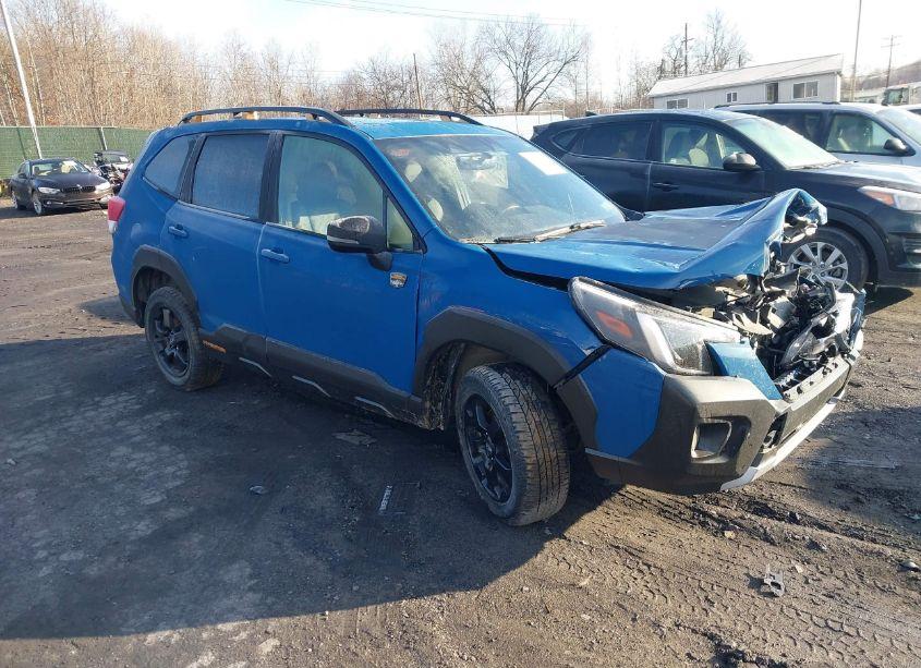 2022 Subaru Forester WILDERNESS (VIN JF2SKAMC4NH448068) main photo