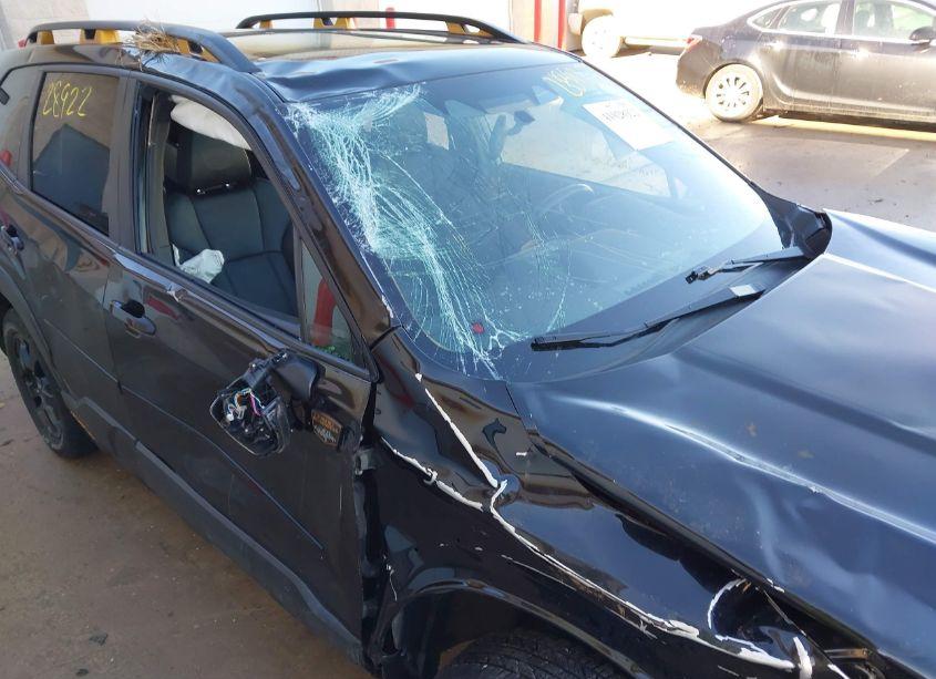 Photo 6 of 2023 Subaru Forester WILDERNESS (VIN JF2SKAMC5PH418564)