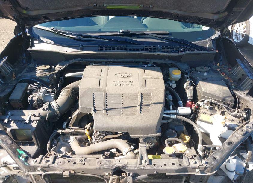 Photo 10 of 2019 Subaru Forester LIMITED (VIN JF2SKAUC0KH444496)