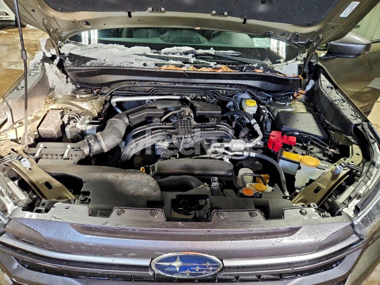 Photo 12 of 2025 SUBARU FORESTER PREMIUM (VIN JF2SLDDC2SH532383)