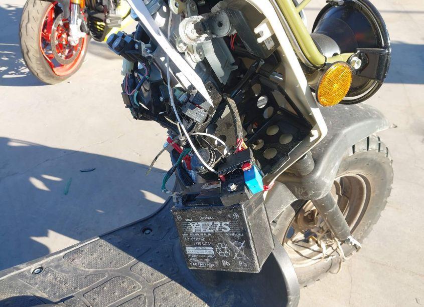 Photo 14 of 2024 Honda Nps50 (VIN JH2AF5812RK202165)