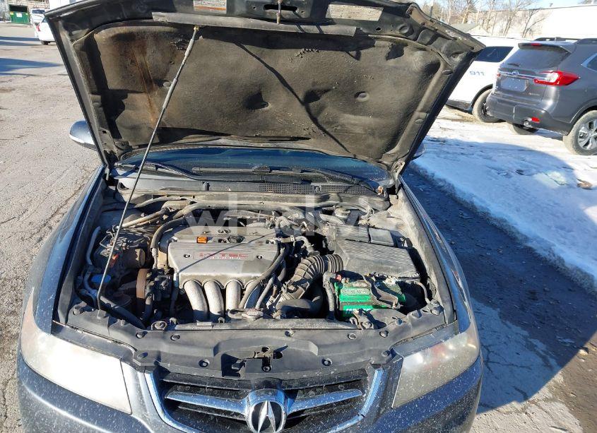 Photo 10 of 2005 Acura Tsx N/A (VIN JH4CL95865C021060)