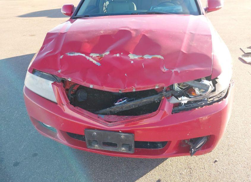 Photo 6 of 2004 Acura Tsx N/A (VIN JH4CL95884C012701)