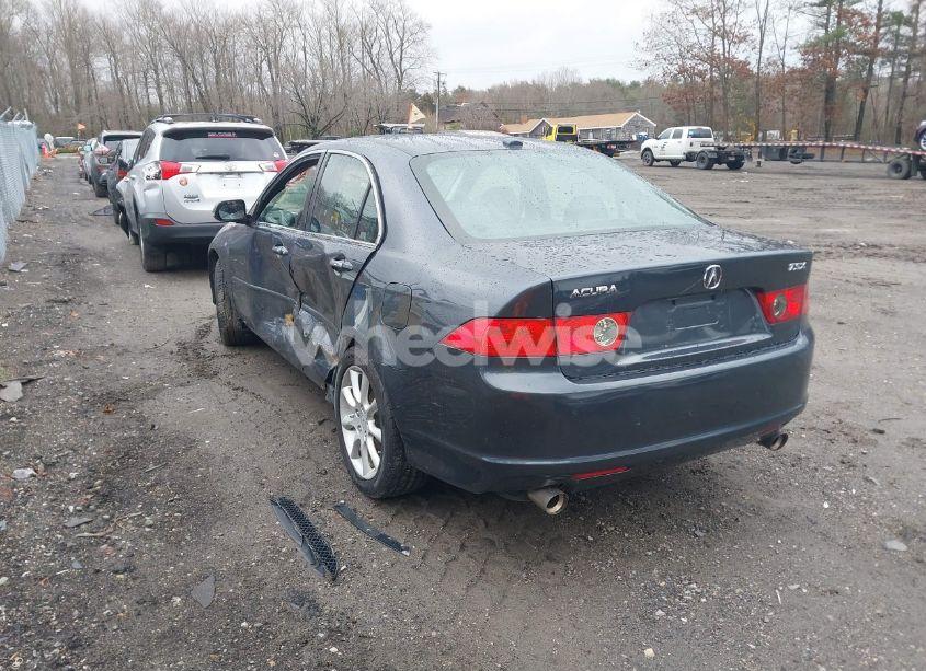 Photo 3 of 2008 Acura Tsx N/A (VIN JH4CL95998C021163)