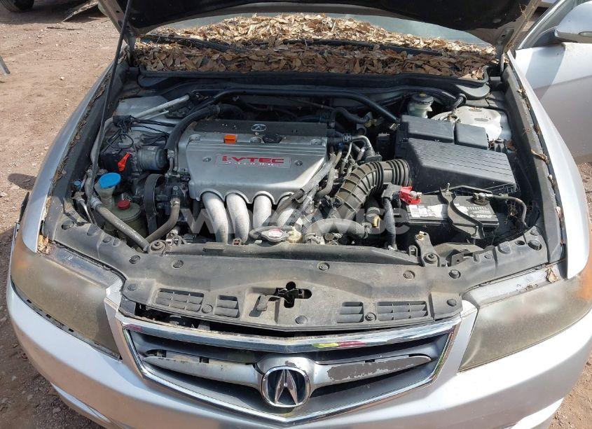 Photo 10 of 2006 Acura Tsx N/A (VIN JH4CL96806C006182)