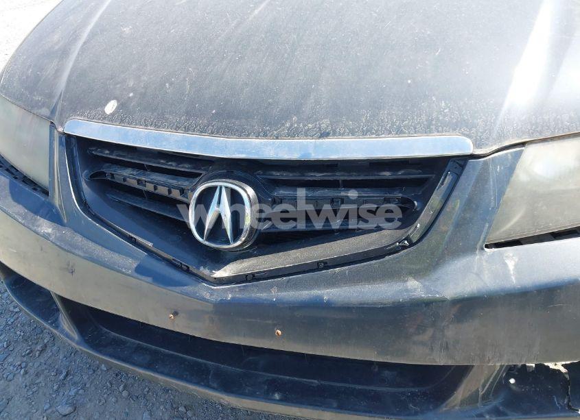 Photo 12 of 2004 Acura Tsx (VIN JH4CL96814C034554)