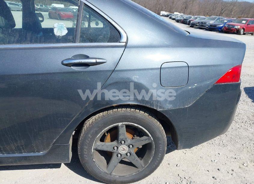 Photo 13 of 2004 Acura Tsx (VIN JH4CL96814C034554)