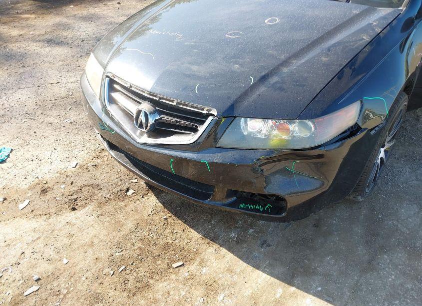 Photo 6 of 2005 Acura Tsx N/A (VIN JH4CL96815C025015)