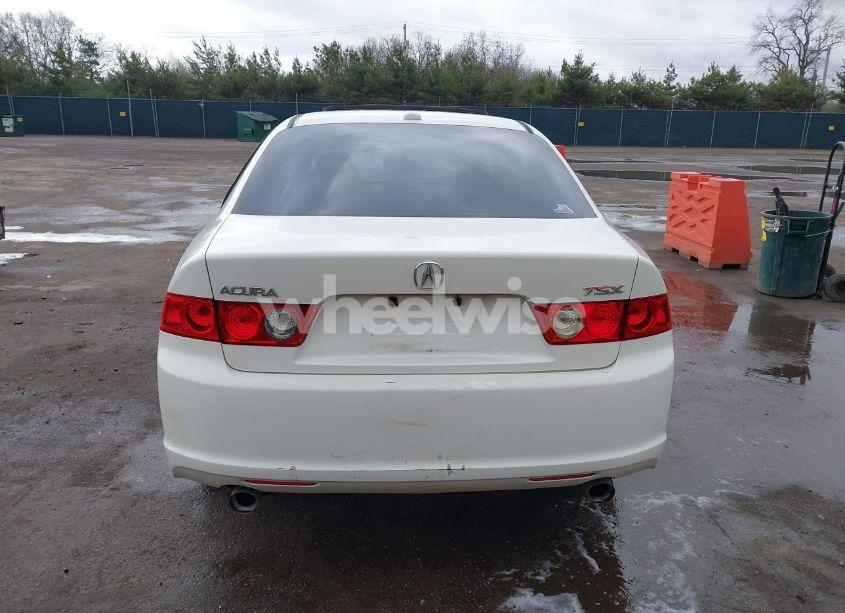 Photo 17 of 2006 Acura Tsx N/A (VIN JH4CL96816C018177)