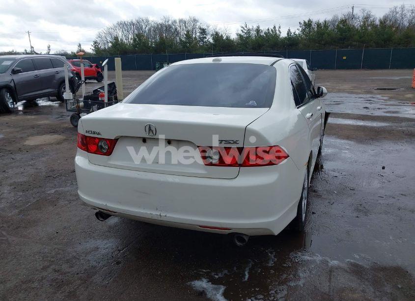Photo 4 of 2006 Acura Tsx N/A (VIN JH4CL96816C018177)