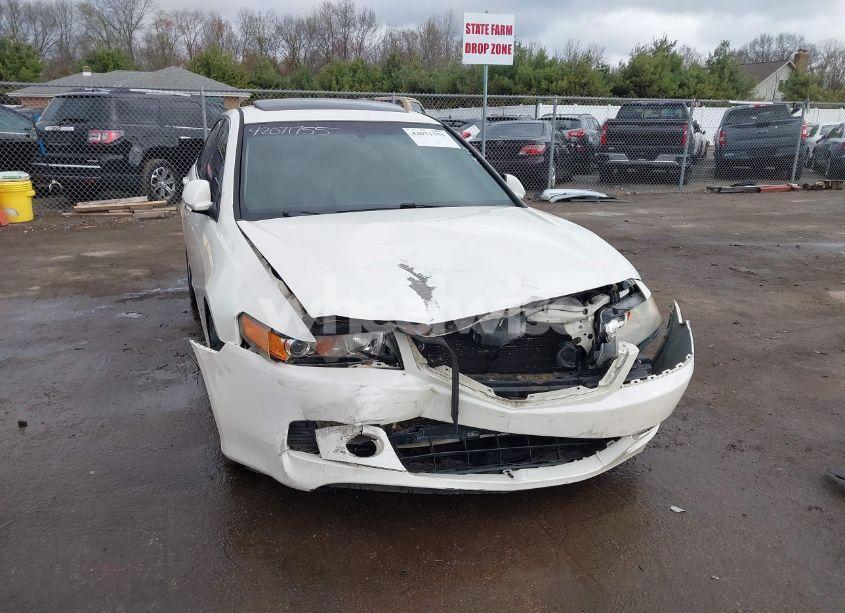 Photo 6 of 2006 Acura Tsx N/A (VIN JH4CL96816C018177)