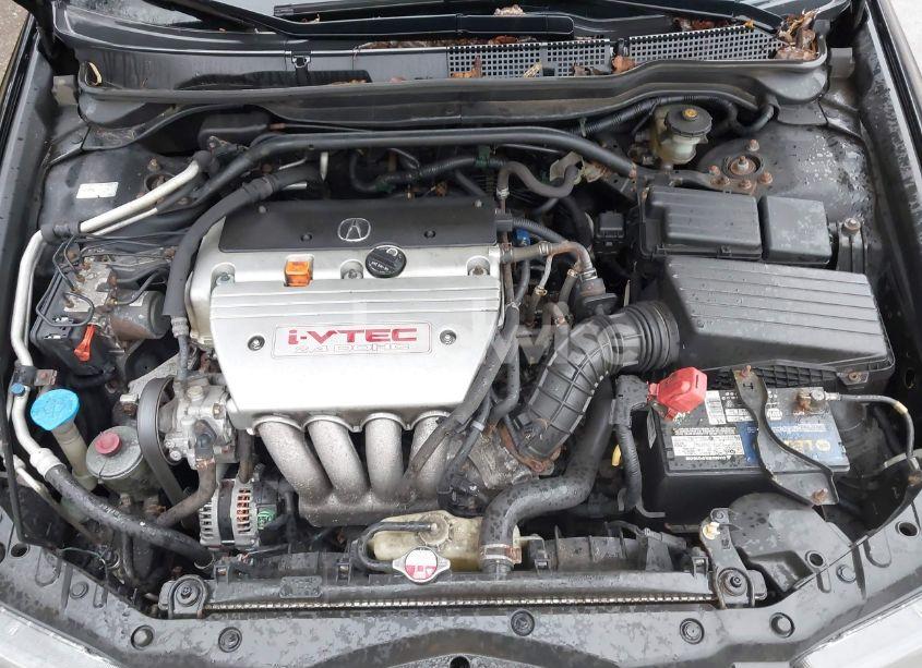 Photo 10 of 2006 Acura Tsx N/A (VIN JH4CL96816C024917)