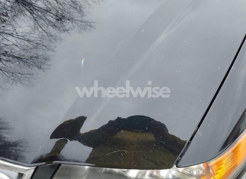 Photo 13 of 2006 Acura Tsx N/A (VIN JH4CL96816C024917)