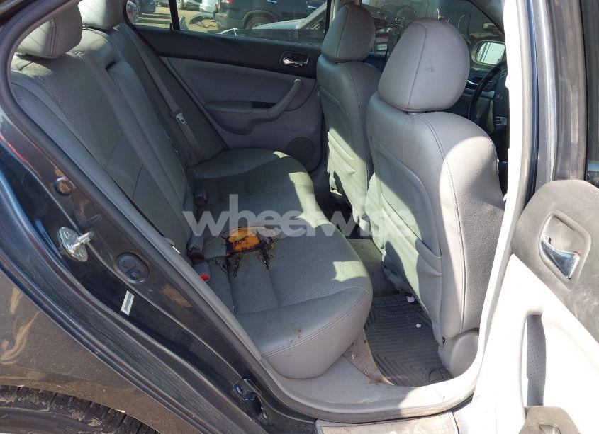 Photo 8 of 2008 Acura Tsx N/A (VIN JH4CL96818C002631)