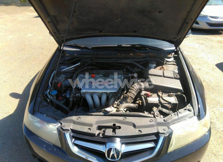 Photo 10 of 2004 Acura Tsx N/A (VIN JH4CL96824C043442)