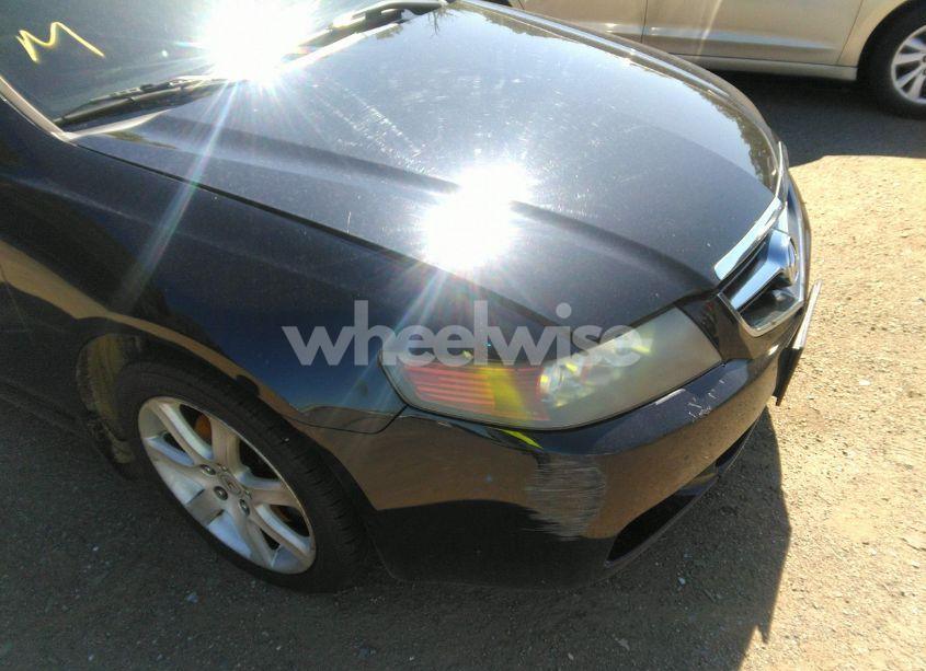 Photo 6 of 2004 Acura Tsx N/A (VIN JH4CL96824C043442)