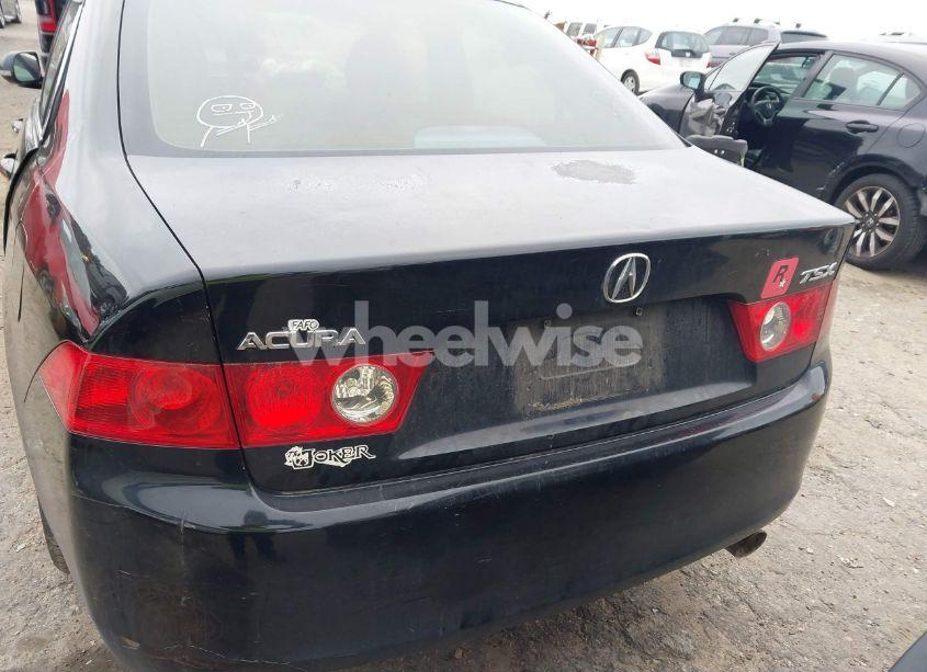 Photo 15 of 2004 Acura Tsx N/A (VIN JH4CL96824C045952)