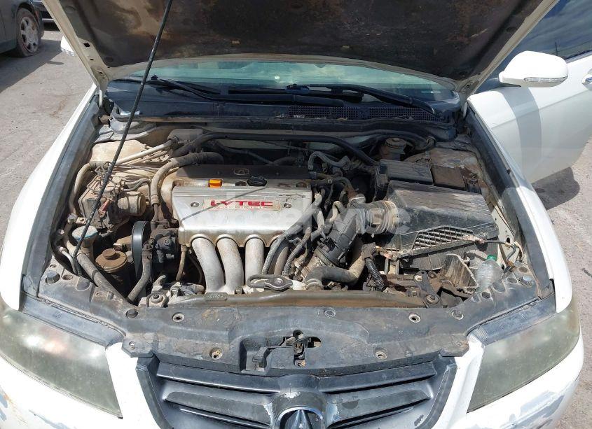 Photo 10 of 2005 Acura Tsx N/A (VIN JH4CL96825C002634)