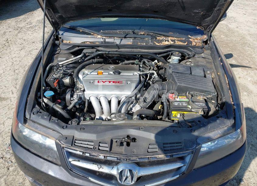 Photo 10 of 2006 Acura Tsx N/A (VIN JH4CL96826C013439)