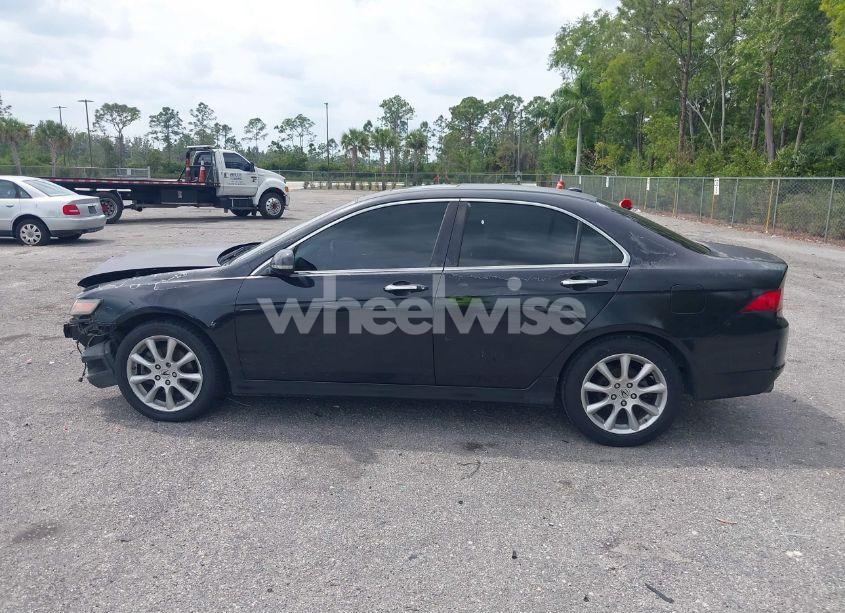 Photo 13 of 2008 Acura Tsx N/A (VIN JH4CL96828C019969)