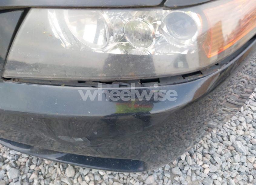 Photo 14 of 2005 Acura Tsx N/A (VIN JH4CL96835C014646)