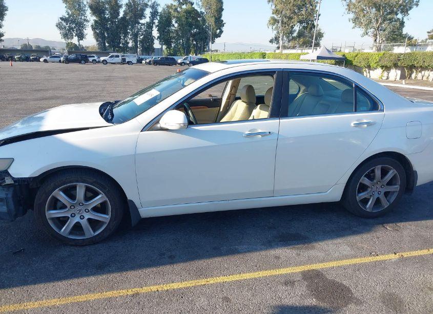 Photo 14 of 2004 Acura Tsx N/A (VIN JH4CL96844C045581)
