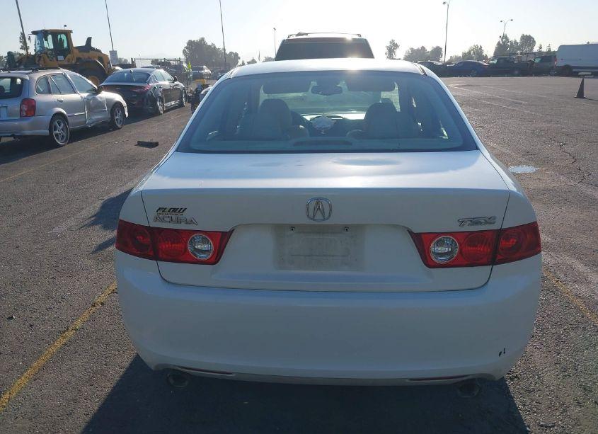 Photo 16 of 2004 Acura Tsx N/A (VIN JH4CL96844C045581)