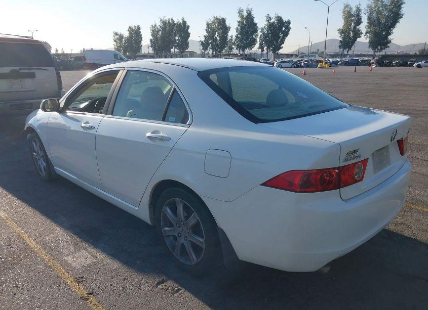 Photo 3 of 2004 Acura Tsx N/A (VIN JH4CL96844C045581)