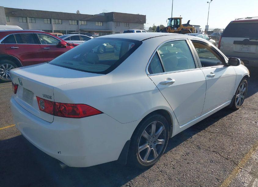 Photo 4 of 2004 Acura Tsx N/A (VIN JH4CL96844C045581)