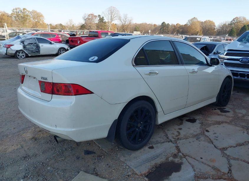 Photo 4 of 2008 Acura Tsx N/A (VIN JH4CL96848C005958)