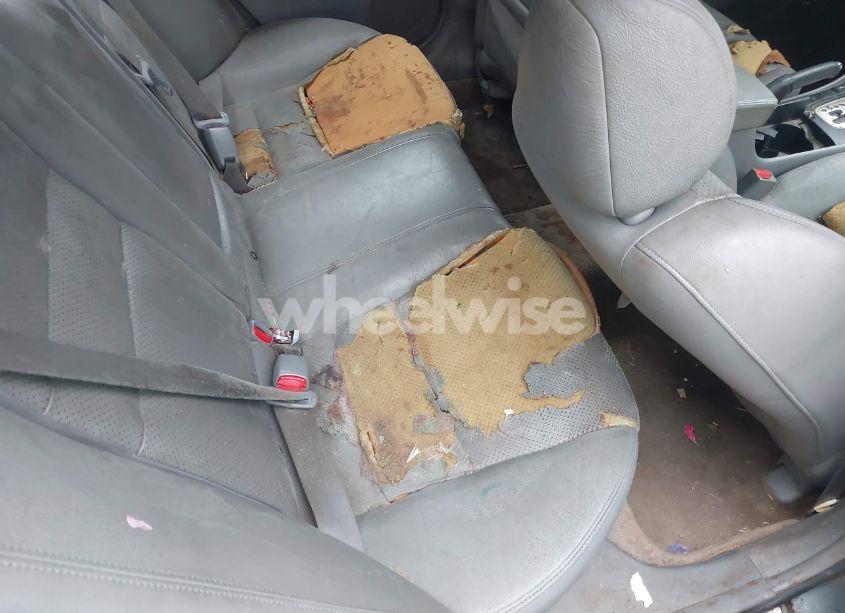 Photo 8 of 2004 Acura Tsx N/A (VIN JH4CL96854C018809)