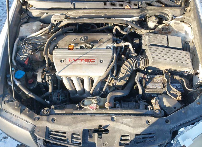 Photo 10 of 2006 Acura Tsx N/A (VIN JH4CL96866C020216)