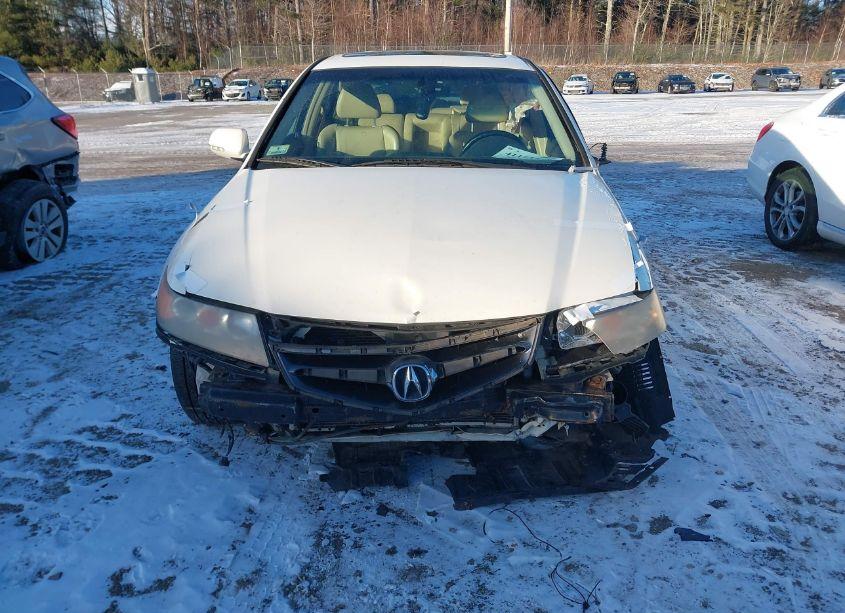 Photo 12 of 2006 Acura Tsx N/A (VIN JH4CL96866C020216)