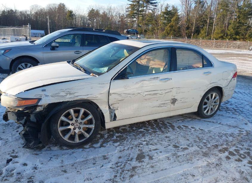 Photo 6 of 2006 Acura Tsx N/A (VIN JH4CL96866C020216)