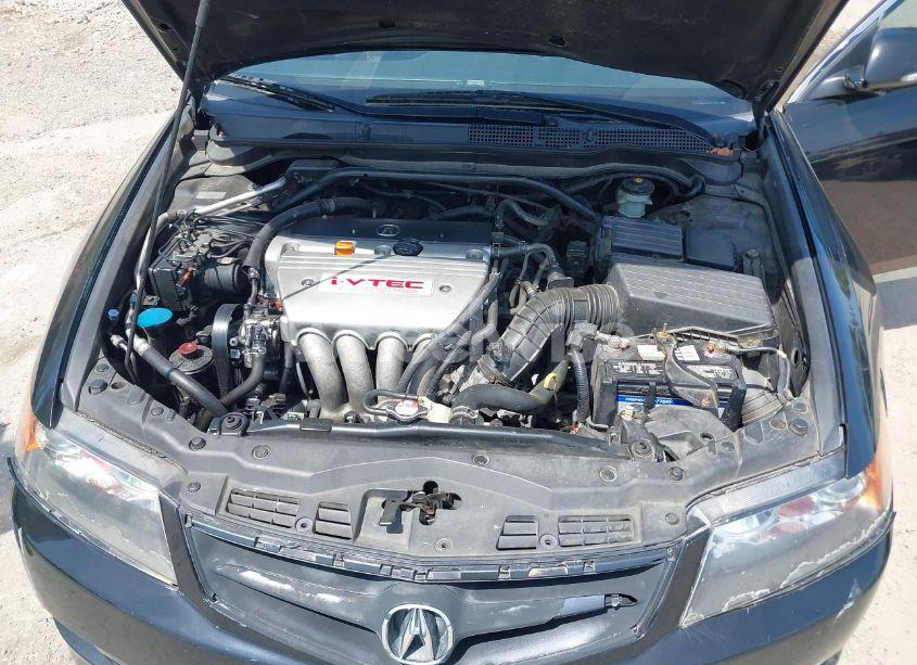 Photo 10 of 2006 Acura Tsx N/A (VIN JH4CL96866C024685)