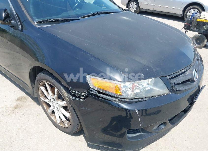 Photo 12 of 2006 Acura Tsx N/A (VIN JH4CL96866C024685)