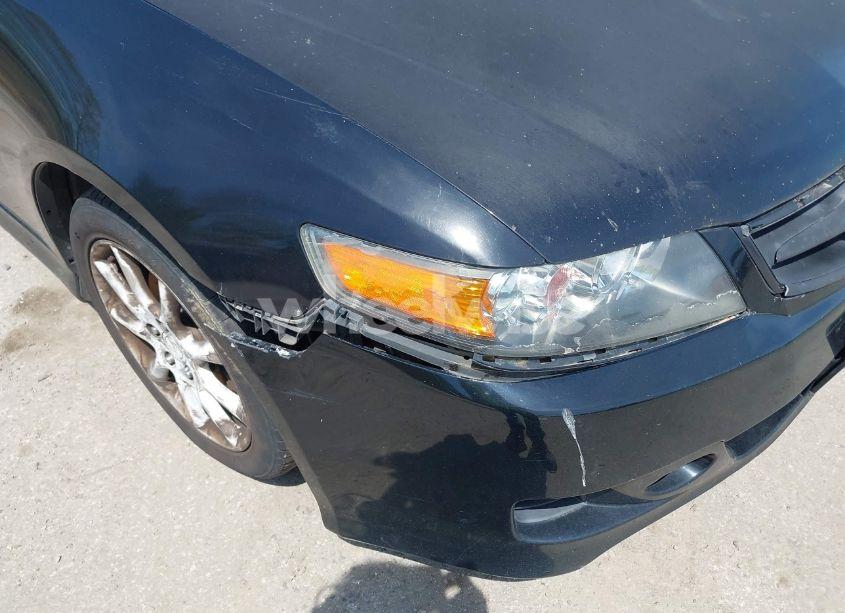 Photo 13 of 2006 Acura Tsx N/A (VIN JH4CL96866C024685)