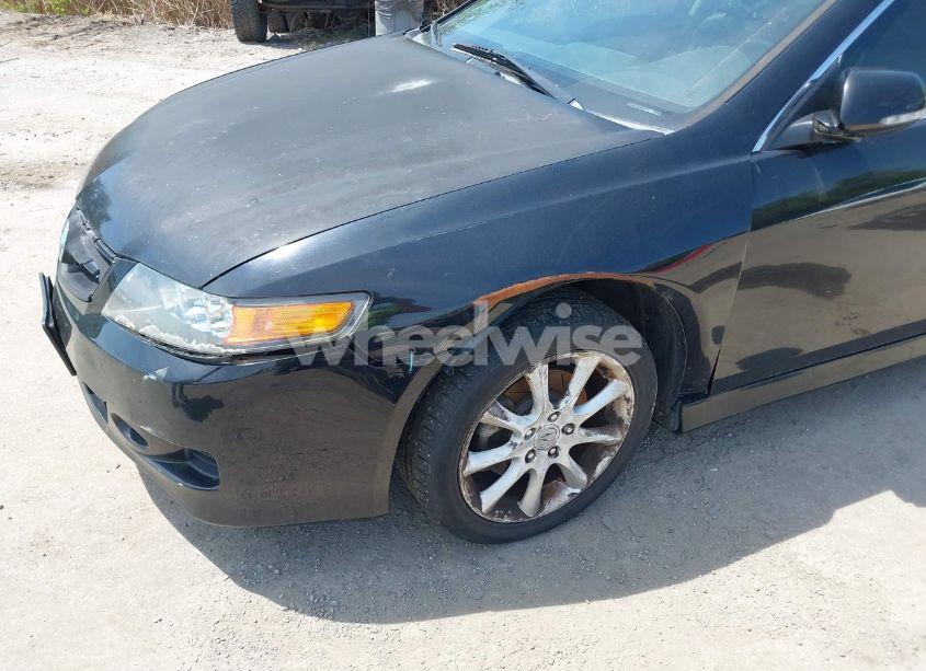 Photo 6 of 2006 Acura Tsx N/A (VIN JH4CL96866C024685)