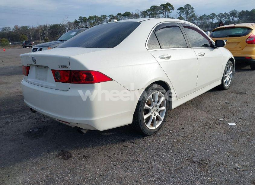 Photo 4 of 2006 Acura Tsx N/A (VIN JH4CL96866C036223)