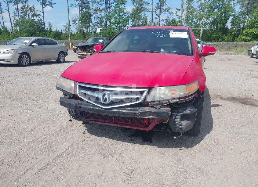 Photo 6 of 2006 Acura Tsx N/A (VIN JH4CL96866C038781)