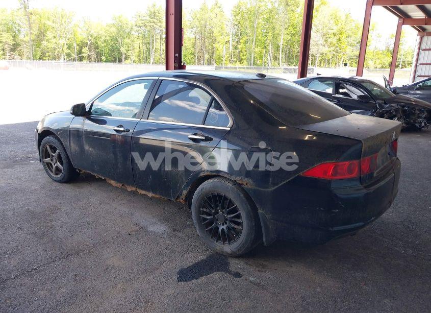 Photo 3 of 2008 Acura Tsx N/A (VIN JH4CL96868C007050)