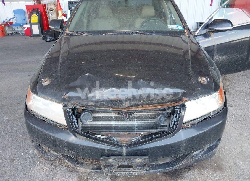 Photo 6 of 2008 Acura Tsx N/A (VIN JH4CL96868C007050)