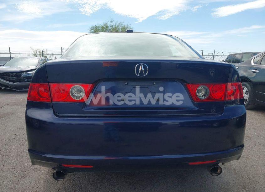 Photo 16 of 2008 Acura Tsx N/A (VIN JH4CL96868C015178)