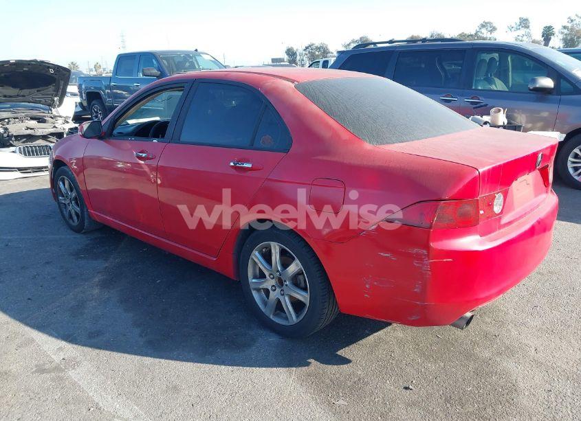 Photo 3 of 2004 Acura Tsx N/A (VIN JH4CL96874C005849)