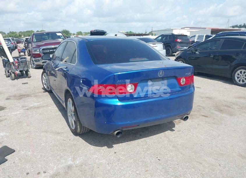 Photo 3 of 2004 Acura Tsx N/A (VIN JH4CL96874C040312)