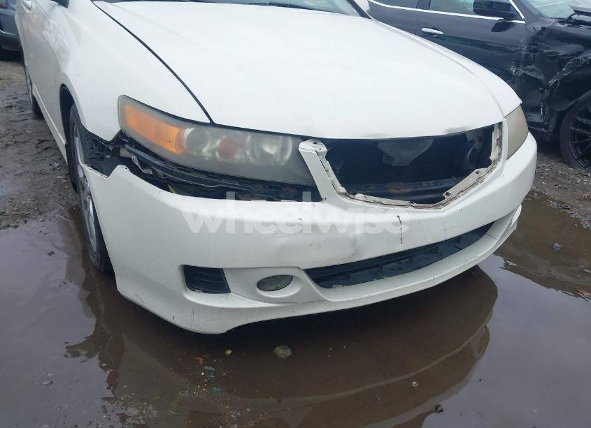 Photo 6 of 2007 Acura Tsx N/A (VIN JH4CL96877C020243)