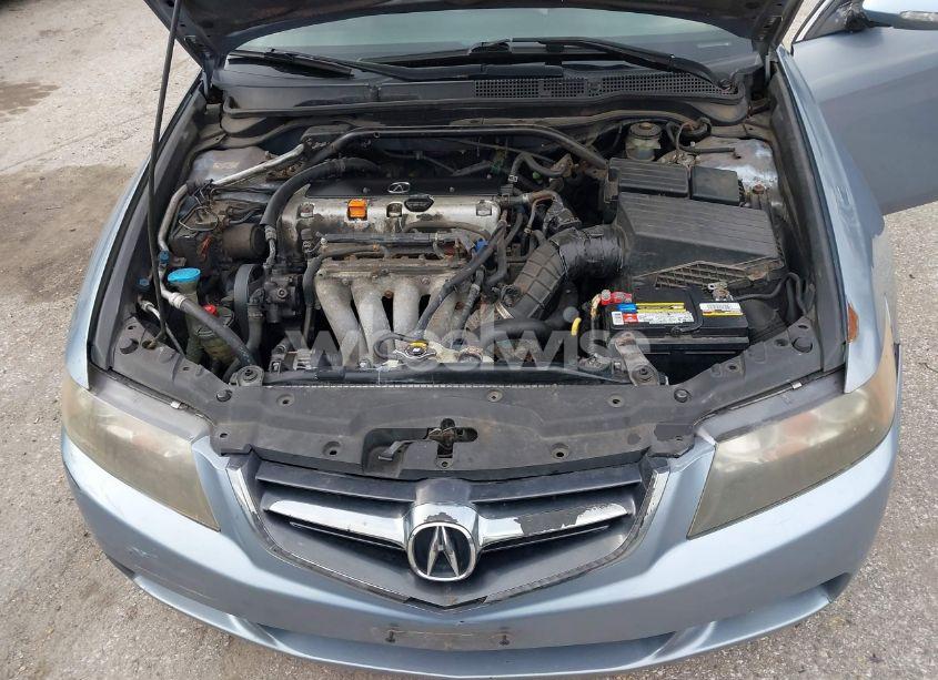 Photo 10 of 2004 Acura Tsx N/A (VIN JH4CL96884C005083)