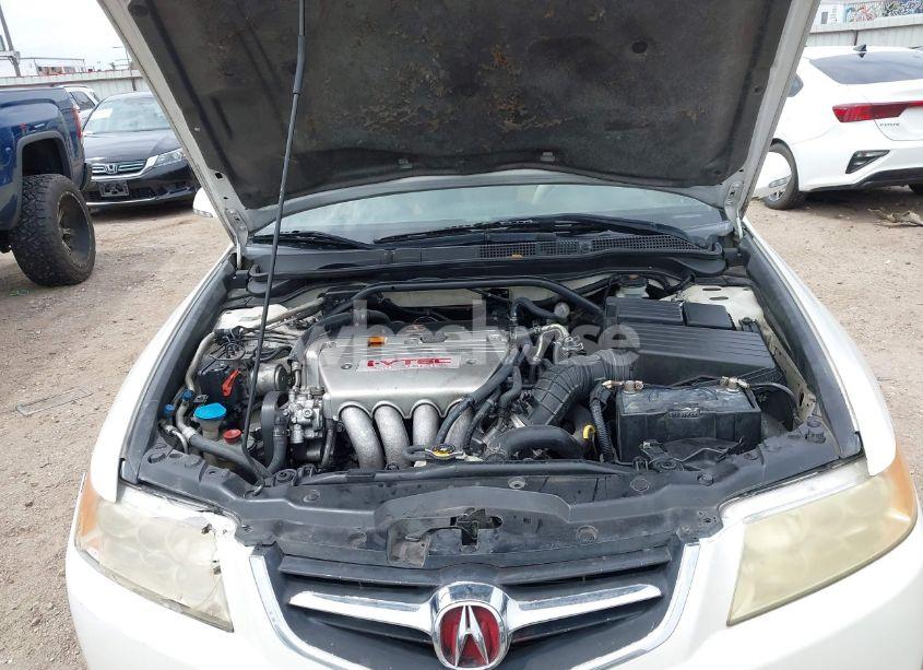 Photo 10 of 2005 Acura Tsx N/A (VIN JH4CL96885C026551)